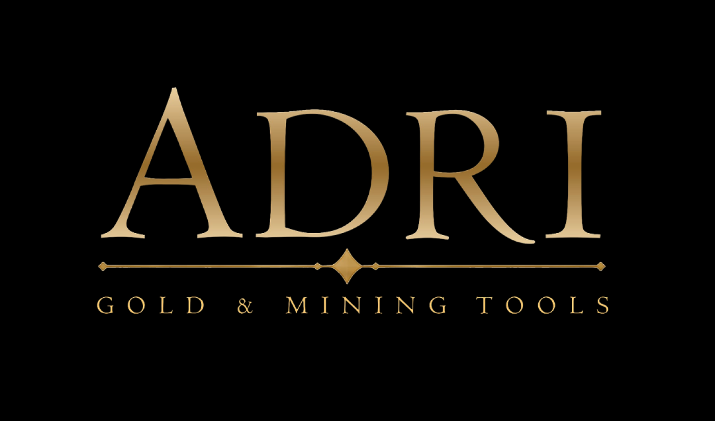 Prospectors using detection equipment at dawn